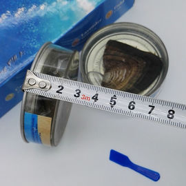 Wholesale Canned Genuine Oyster Shell Pearl In Can