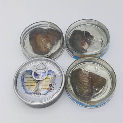 Wholesale Canned Genuine Oyster Shell Pearl In Can Freshwater Pearl Bead