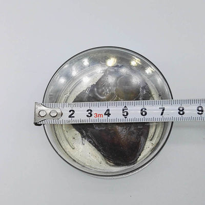 Wholesale Canned Genuine Oyster Shell Pearl In Can Freshwater Pearl Bead